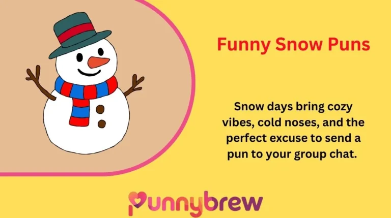 Funny Snow Puns
