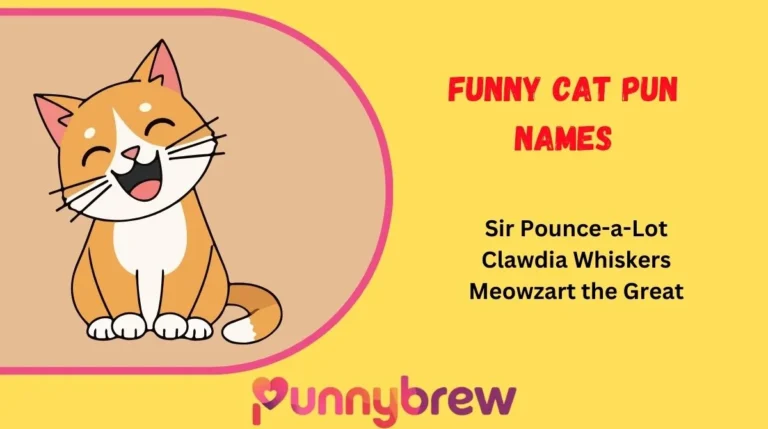 Funny Cat Pun Names