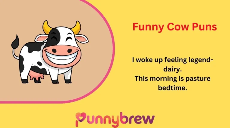 Funny Cow Puns