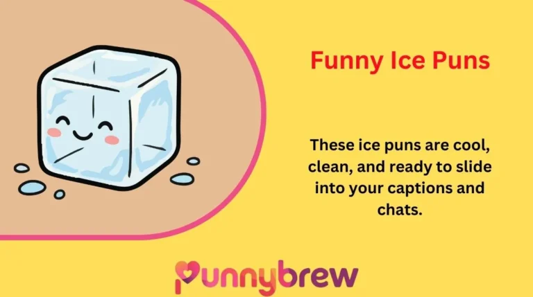 Funny Ice Puns