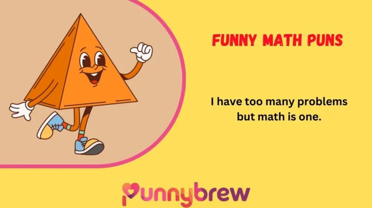 Funny Math Puns