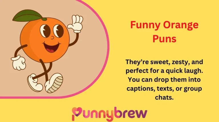 Funny Orange Puns