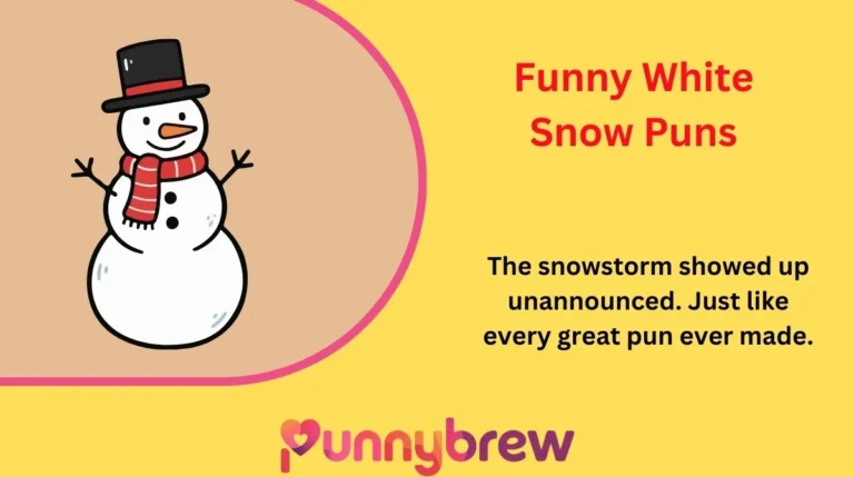 Funny White Snow Puns