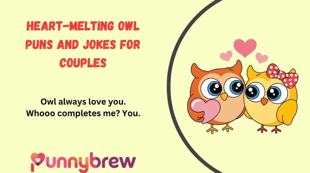 Heart-Melting Owl Puns and Jokes for Couples