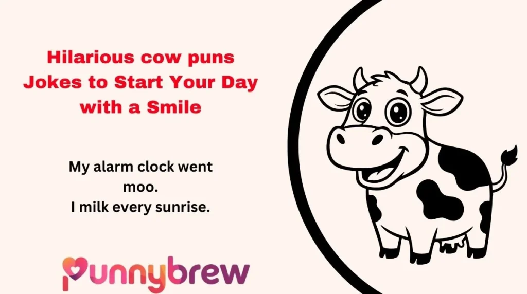 Hilarious cow puns Jokes to Start Your Day with a Smile