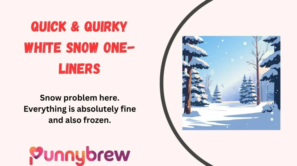 Quick & Quirky White Snow One-Liners