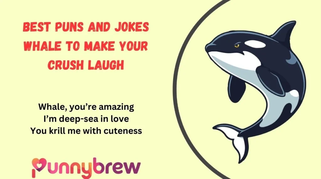 Best Puns and Jokes Whale to Make Your Crush Laugh