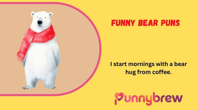 Funny Bear Puns