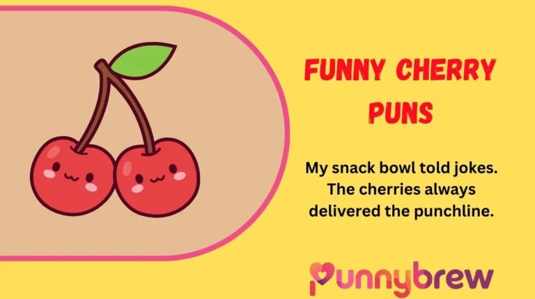 Funny Cherry Puns