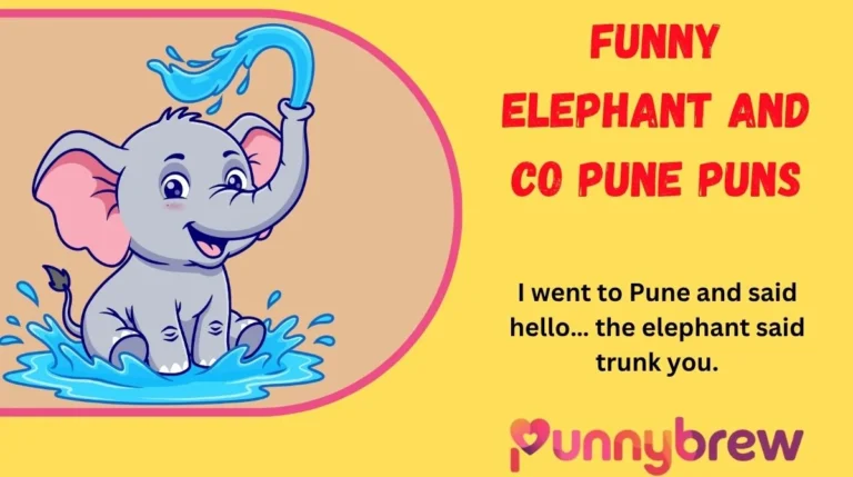 Funny Elephant and Co Pune Puns