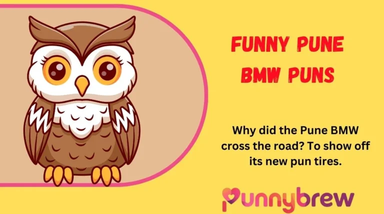 Funny Pune BMW Puns