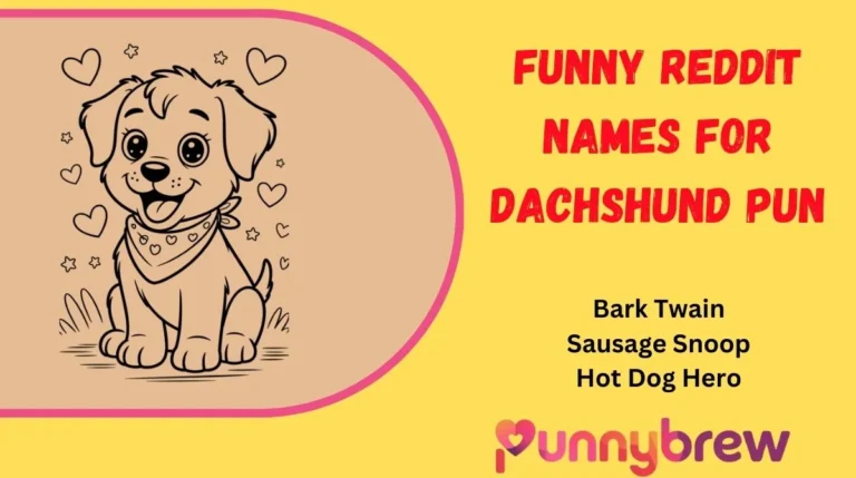 Funny Reddit Names for Dachshund Pun