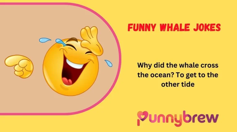 Funny Whale Jokes