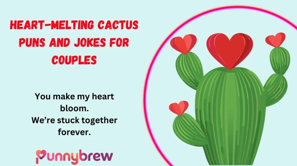 Heart-Melting Cactus Puns and Jokes for Couples