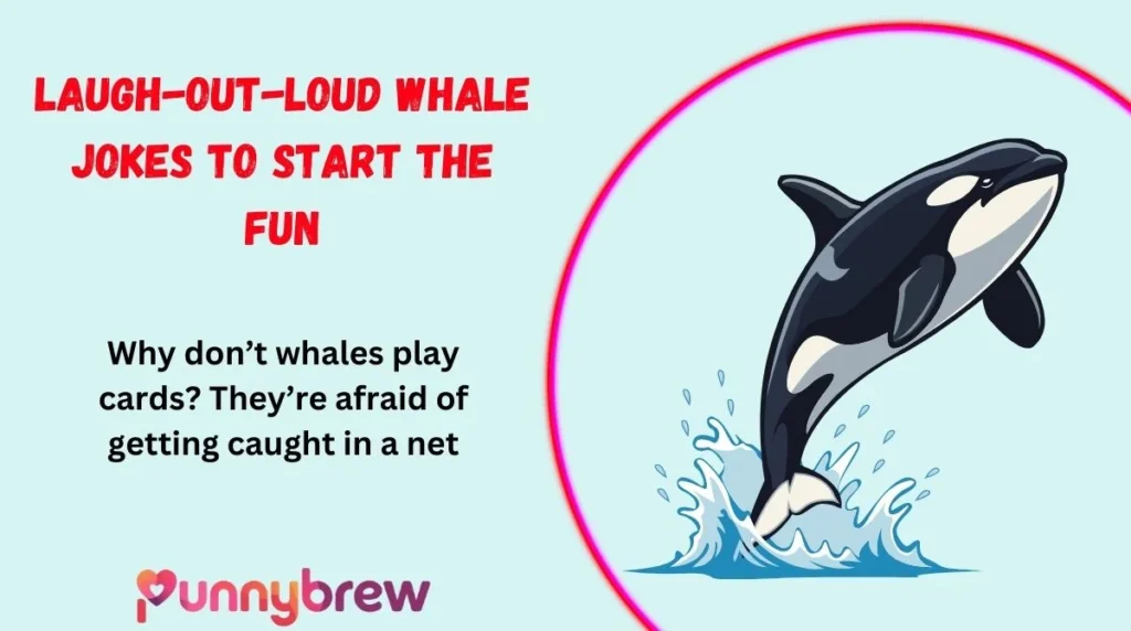 Laugh-Out-Loud Whale Jokes to Start the Fun