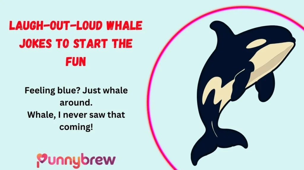 Laugh-Out-Loud Whale Jokes to Start the Fun